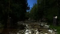 Miasmata Steam Gift screenshot 2
