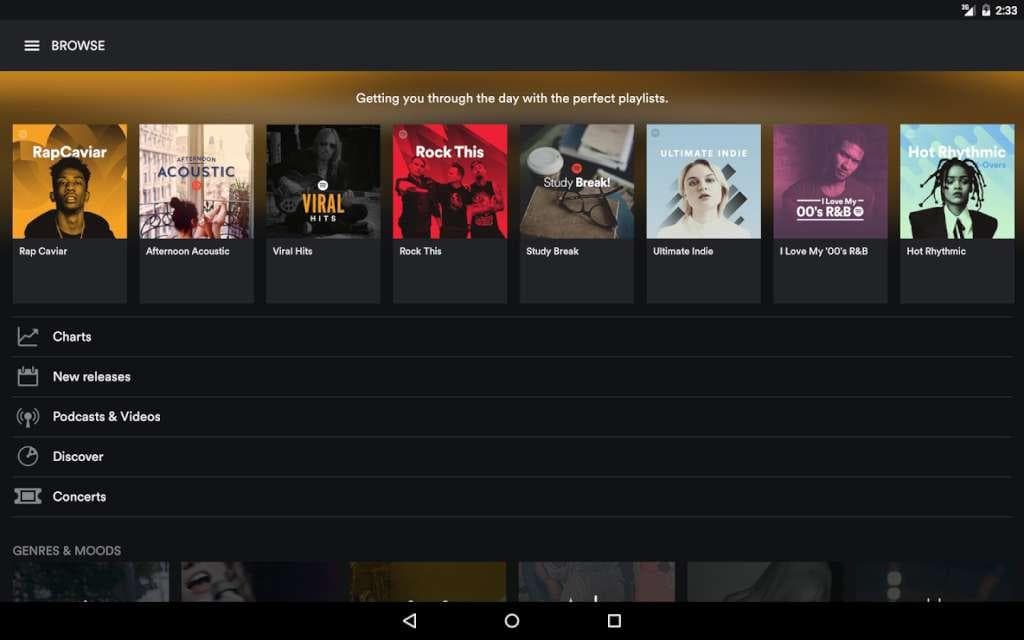 Spotify Premium 12-month Subscription ACCOUNT screenshot 2