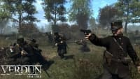 Verdun Steam Gift screenshot 2