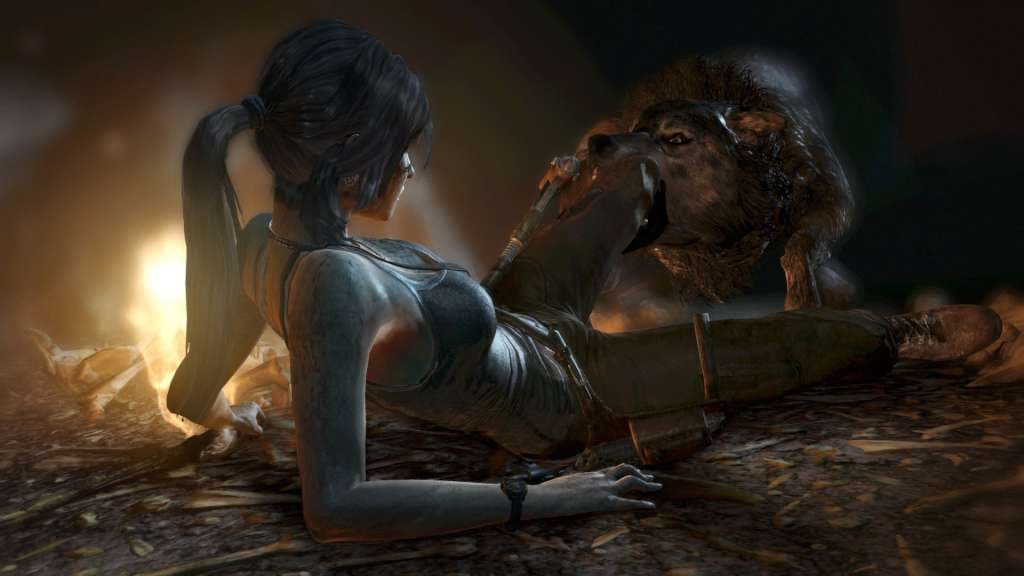 Imajen ekrã 6 husi Tomb Raider Steam CD Key