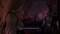 Divinity II: Developer's Cut Steam CD Key screenshot 5