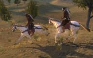 Mount & Blade: Warband PC Steam CD Key screenshot 4