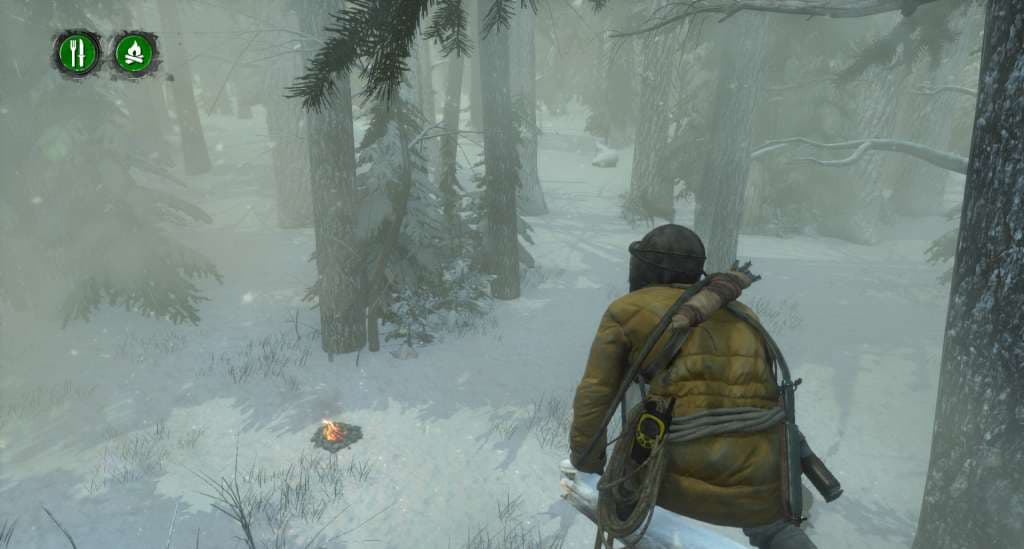 Imajen ekrã 2 husi Rise of the Tomb Raider - Endurance Mode DLC Steam CD Key