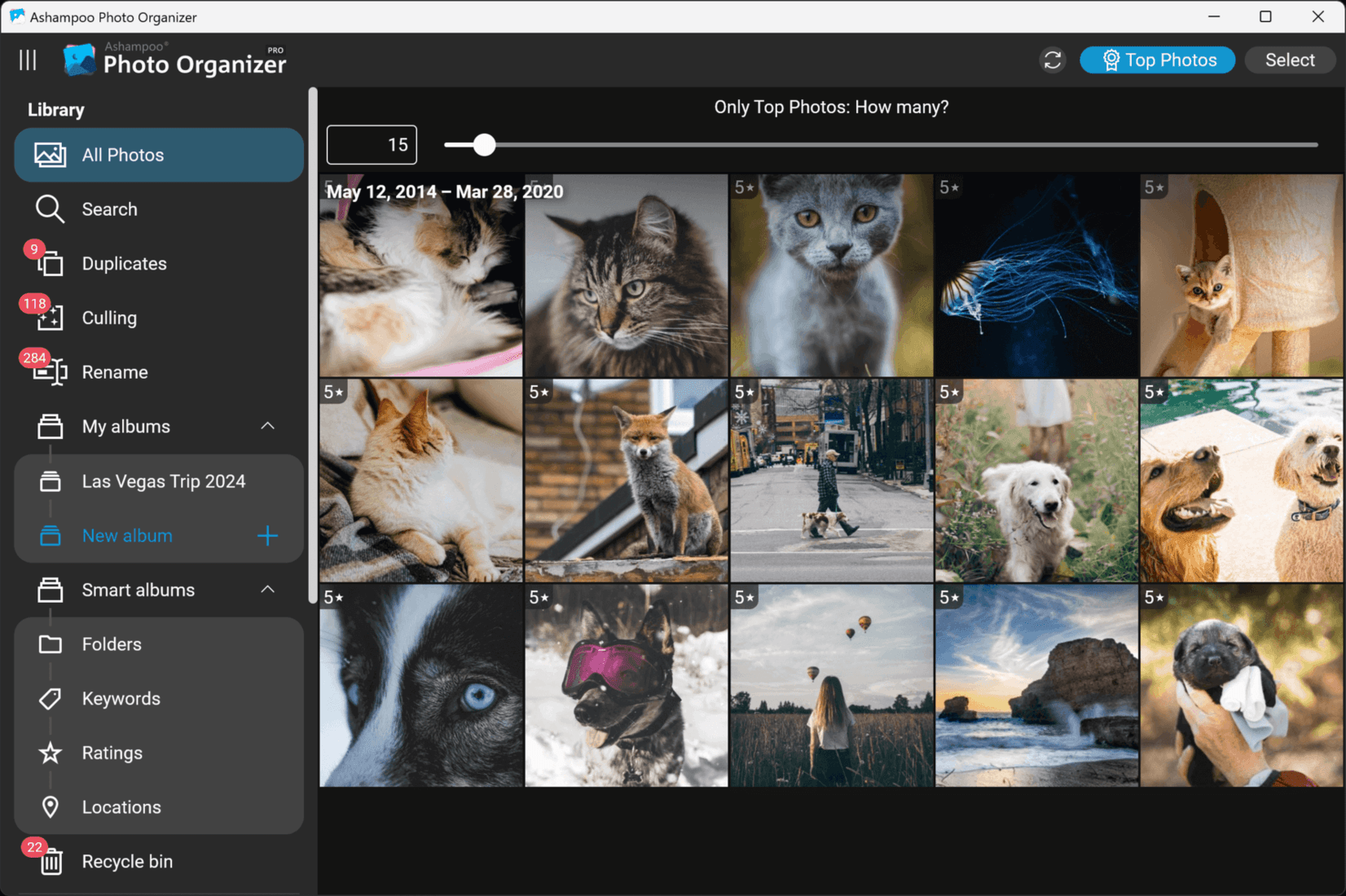 Ashampoo Photo Organizer Pro 25 Key screenshot 4