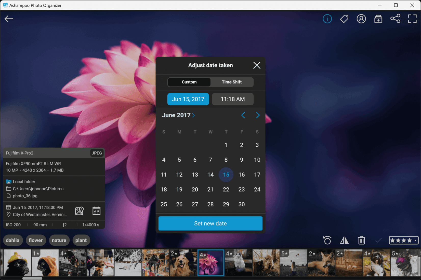 Ashampoo Photo Organizer Pro 25 Key screenshot 3