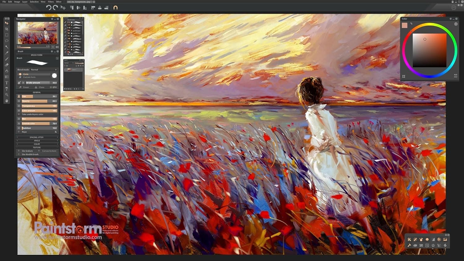 Paintstorm Studio Key screenshot 4