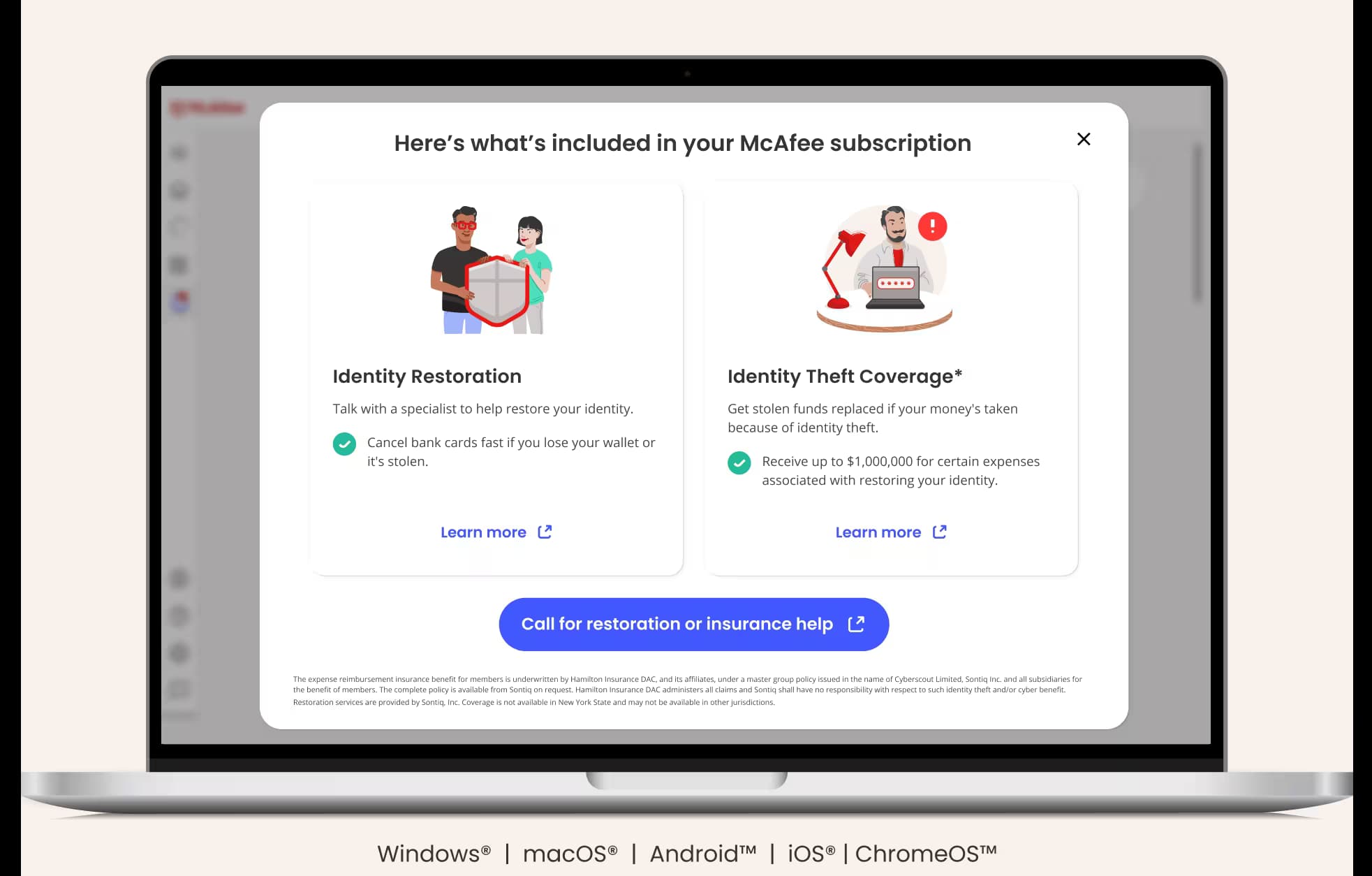 McAfee Privacy & Identity Guard 2025 Key (1 Device / 1 Year) screenshot 2