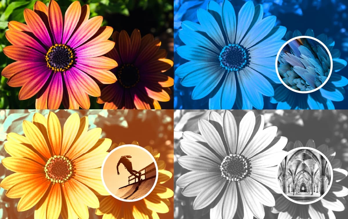 Adobe Photoshop Elements 2025 US (3 Years / 1 Device) screenshot 4