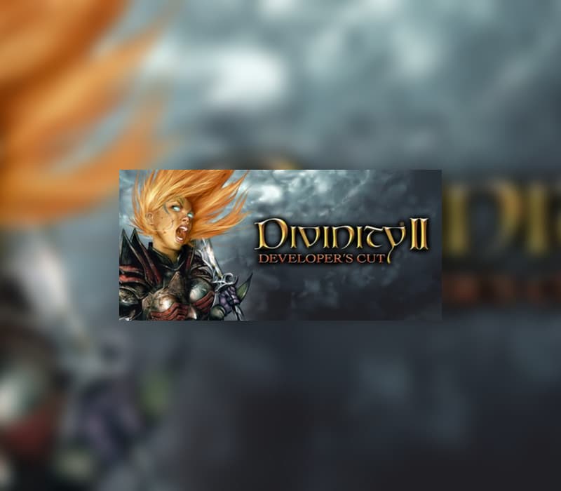 Divinity II: Developer's Cut Steam CD Key cover art