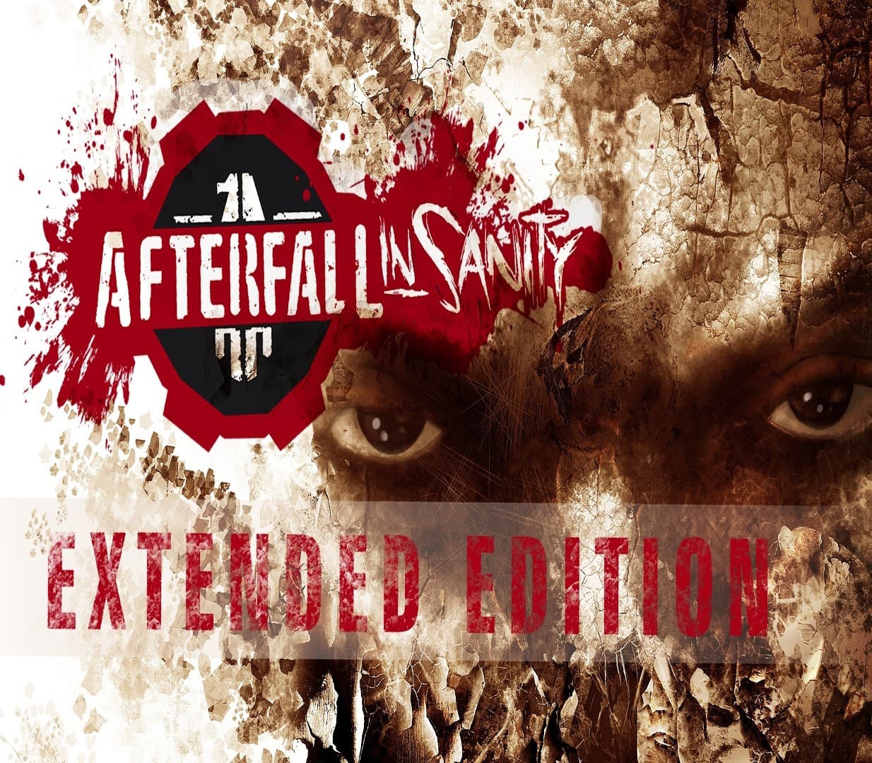 Sampul Afterfall Insanity Extended Edition Steam CD Key