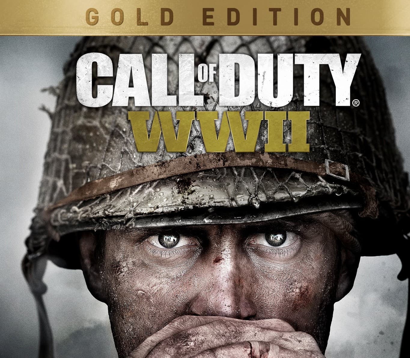 Call of Duty: WWII Gold Edition PS4 Account cover art