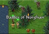 Battles of Norghan Steam CD Key cover art