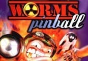 Worms Pinball PC Steam CD Key cover art