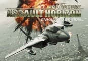 Ace Combat Assault Horizon Enhanced Edition RoW PC Steam CD Key cover art
