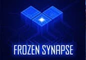 Kapa husi Frozen Synapse Steam Gift