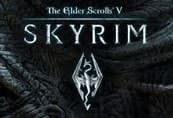 The Elder Scrolls V: Skyrim PC Steam CD Key cover art