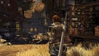 Divinity II: Developer's Cut Steam CD Key screenshot 1