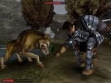 Captura de ecrã 5 de Gothic Universe Edition PC Steam CD Key