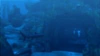 Tangkapan layar 2 Tomb Raider: Underworld Steam Gift