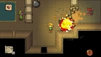 Ittle Dew Steam CD Key screenshot 3