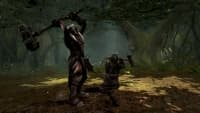 Lord of the Rings: War in the North PC Steam CD Key screenshot 2