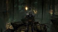 Tangkapan layar 3 Two Worlds II: Velvet Edition PC Steam CD Key