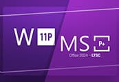 Windows 11 Professional & MS Office 2024 Professional Plus LTSC Bundle Key cover art
